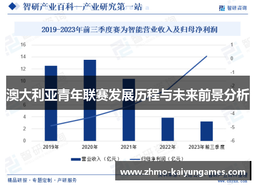 澳大利亚青年联赛发展历程与未来前景分析